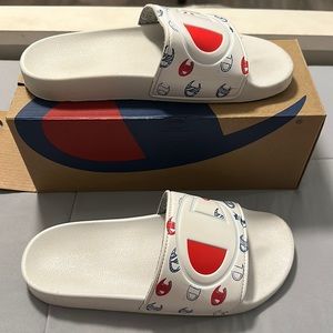 CHAMPION SLIDES
